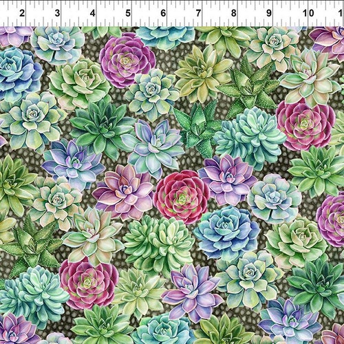 Quilt Kit - shops Botanical Quilt Kit by Jason Yenter for In The Beginning - Fabric for top and binding and pattern - 58 1/2