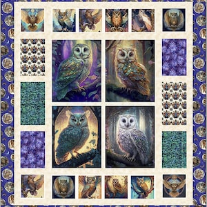 Op de afbeelding: Een quiltblok met verschillende uilontwerpen. De uilen zijn afgebeeld in verschillende poses en kleuren, waaronder bruin, wit en groen. De achtergrond is crèmekleurig met een blauwe en witte rand.