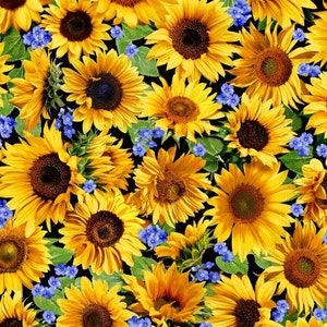 Sunflower Meadow from the Summer Sunflowers Collection by Michael Miller Fabrics - Sold in 1/2 yard increments