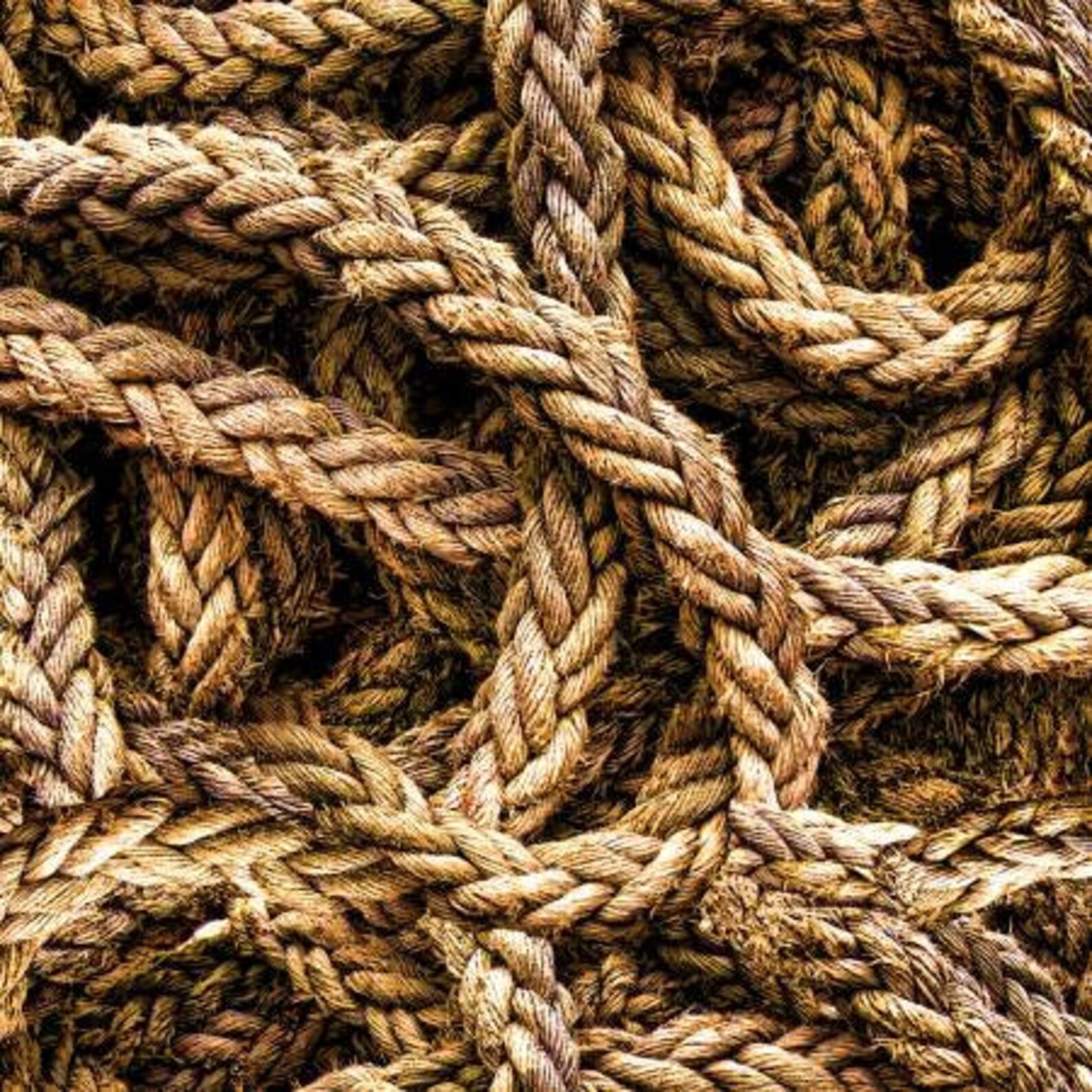 cream rope laces