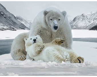 Polar Bear Frost Panel - Call of the Wild by Hoffman - Sold in 31 1/2" x 43" Sections