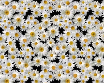 Black Blooming Packed Daisies from the Advice From a Sunflower Collection by Timeless Treasures - Priced by the half yard - 44/45" width