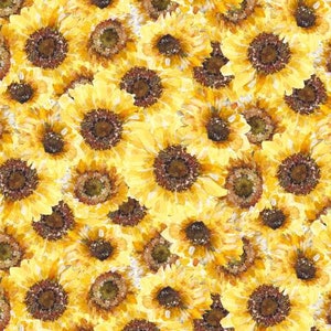 Sunflowers from the Sunflower Sweet Collection by Wilmington Prints - Priced by the 1/2 yard - Cut in Continuous Length
