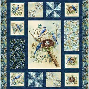 PDF QUILT MUSTER - Boxed In - Awakenings Quilt Muster von Kari Nichols für Quilting Renditions - 58.5 &quot;x 68.5&quot;