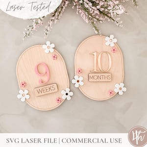 SVG de hitos intercambiables de Daisy / SVG de hitos para recién nacidos / SVG Glowforge / Archivos láser / Ideas para regalos de baby shower /