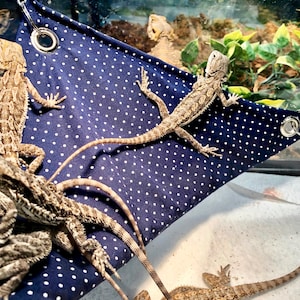 Polka Dot Reptile Hammock