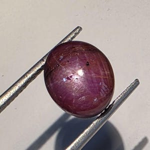 Peut inclure: Une pierre précieuse de rubis ovale polie, tenue par une pince argentée. Le rubis est d'un rouge-violet profond avec des reflets internes. La pierre est lisse et arrondie, mettant en valeur sa beauté naturelle.