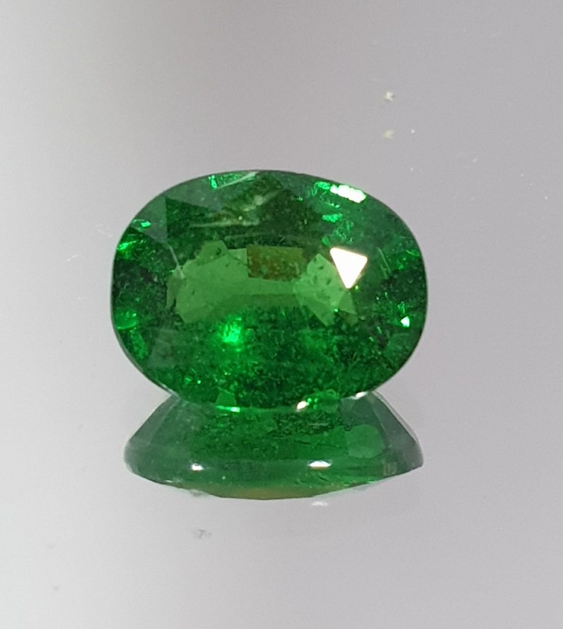493662_1