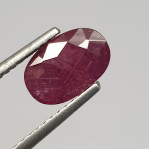 Op de afbeelding: Een dieprode ovale edelsteen met een facetgeslepen vorm. De edelsteen wordt vastgehouden in een pincet.