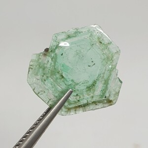 May include: A translucent green crystal with a hexagonal shape. The crystal is held by tweezers against a white background.