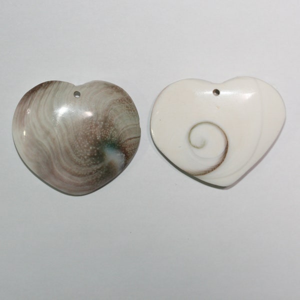 Fossil Snail Heart Pendant 39mm.1 Piece