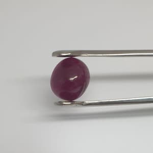 May include: A deep red oval-shaped gemstone held by a pair of tweezers.