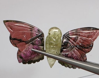 Gran mariposa tallada en turmalina sandía bicolor de 37,5 x 17 mm (20,86 cts). Piedras preciosas naturales. Talla única.