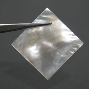 Pode incluir: Uma concha quadrada e iridescente de madrepérola segurada por uma pinça. A concha tem um brilho perolado com variações sutis de cor. As bordas são limpas e a superfície é lisa. O fundo é cinza escuro.