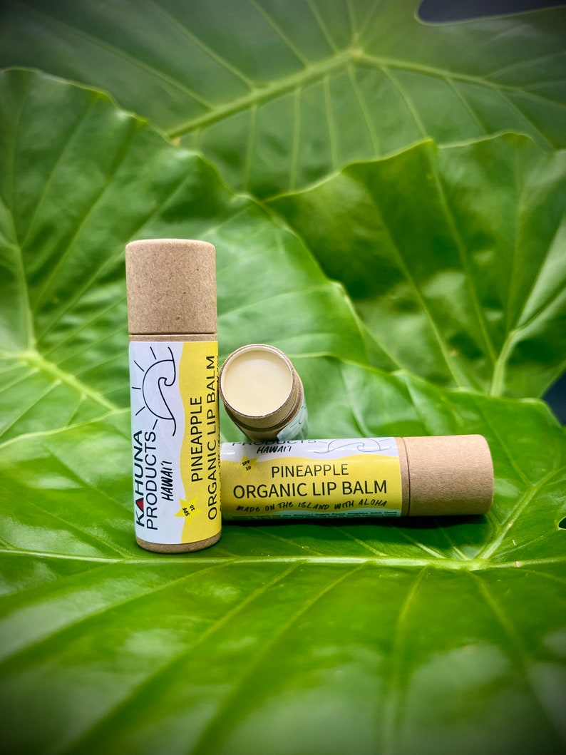 ORGANIC LIP BALM Hyaluronic Acid Zinc Oxide Lip Etsy