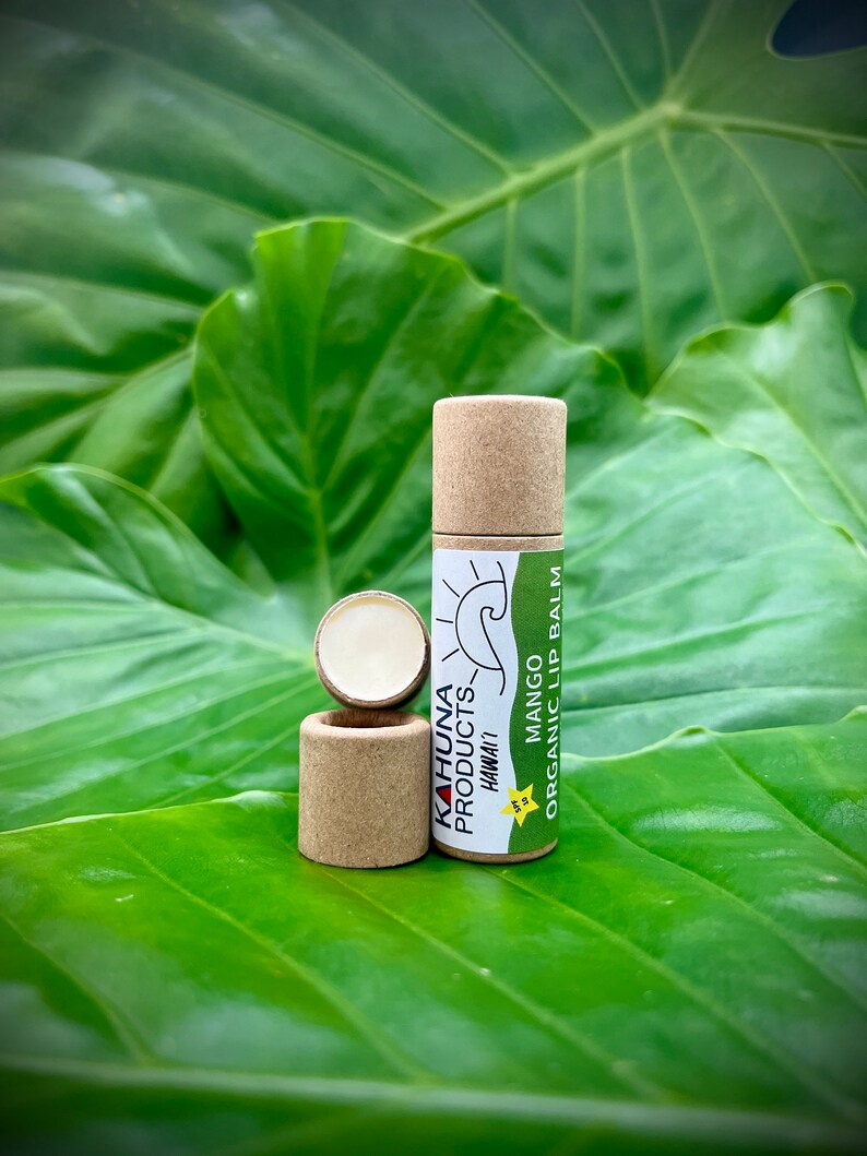 ORGANIC LIP BALM Hyaluronic Acid Zinc Oxide Lip Etsy