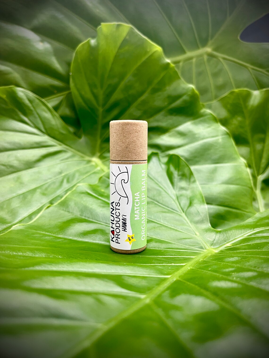 ORGANIC LIP BALM Hyaluronic Acid Zinc Oxide Lip Etsy