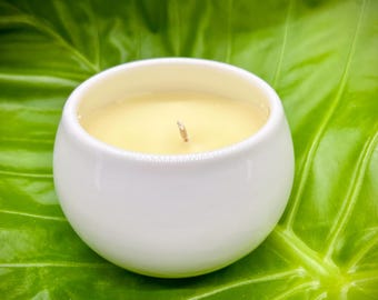 COCONUT SOY CANDLES | Handmade | Pure Essential Oils | Long-Lasting | Eco-Friendly | Sustainable | Clean-Burning | Ceramic Vessel |Non-Toxic