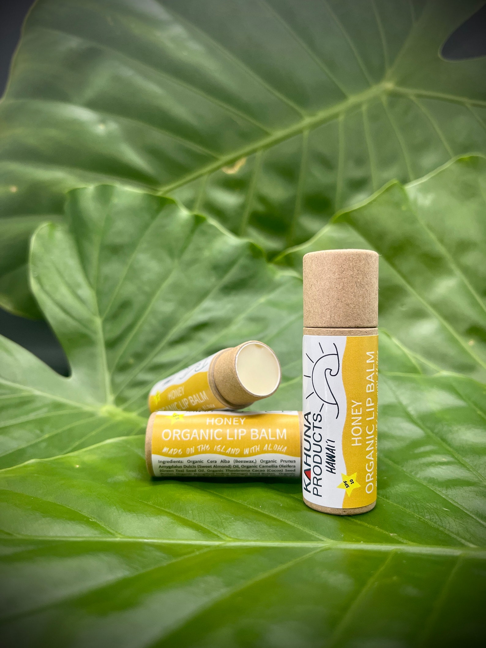 ORGANIC LIP BALM Hyaluronic Acid Zinc Oxide Lip Etsy