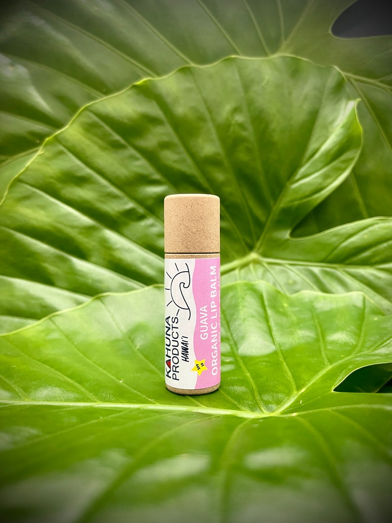 ORGANIC LIP BALM Hyaluronic Acid Zinc Oxide Lip Etsy