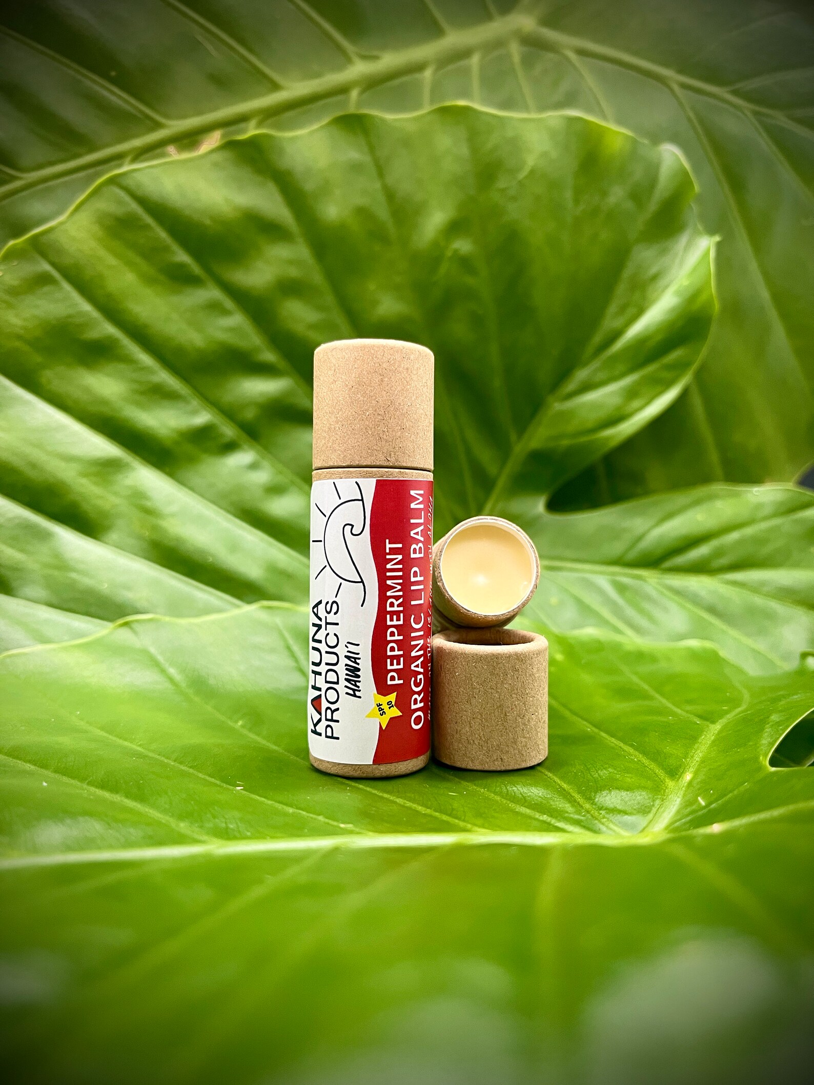 ORGANIC LIP BALM Hyaluronic Acid Zinc Oxide Lip Etsy