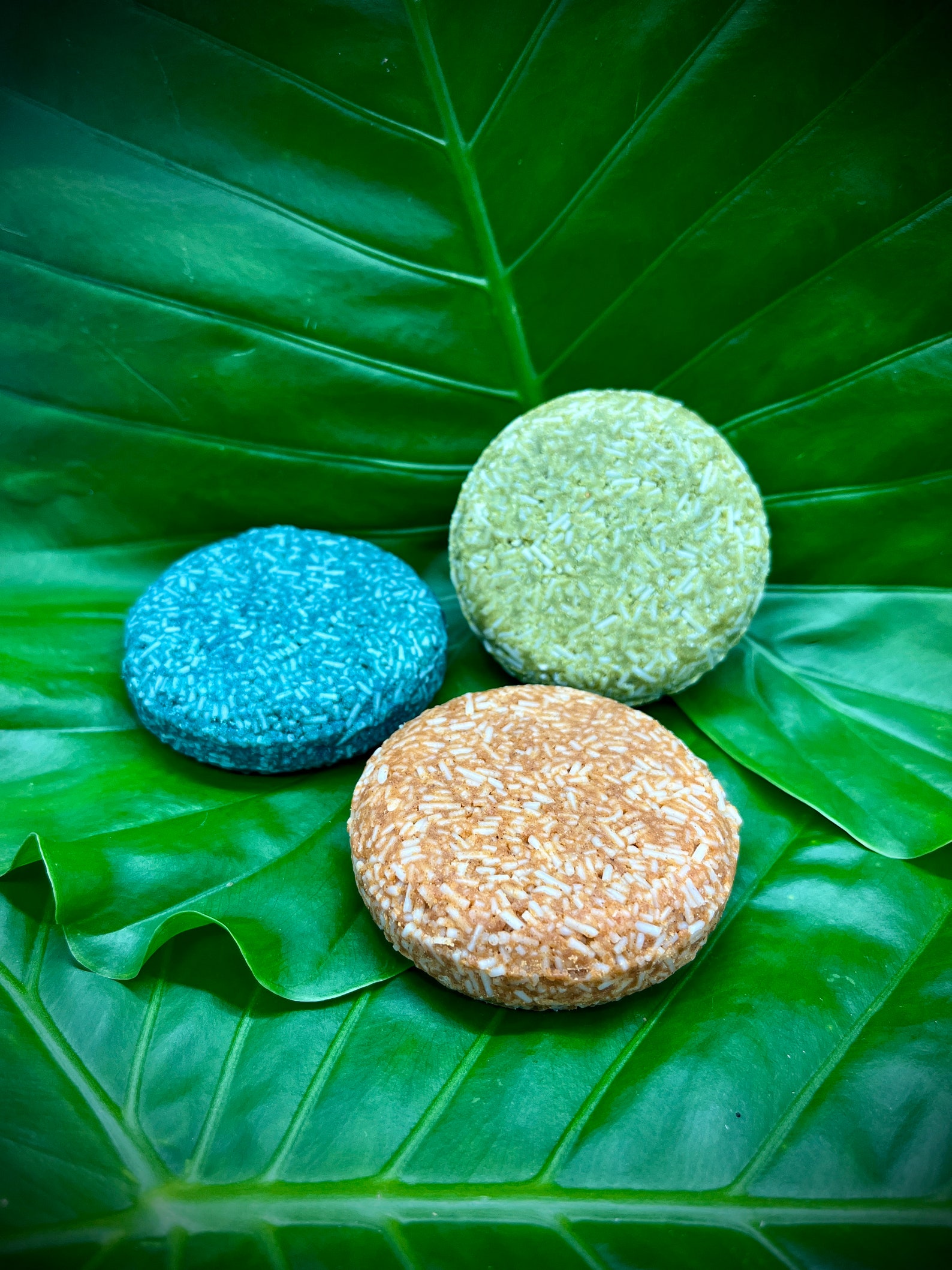 SHAMPOO BAR Solid Shampoo Bar Travel Shampoo Etsy