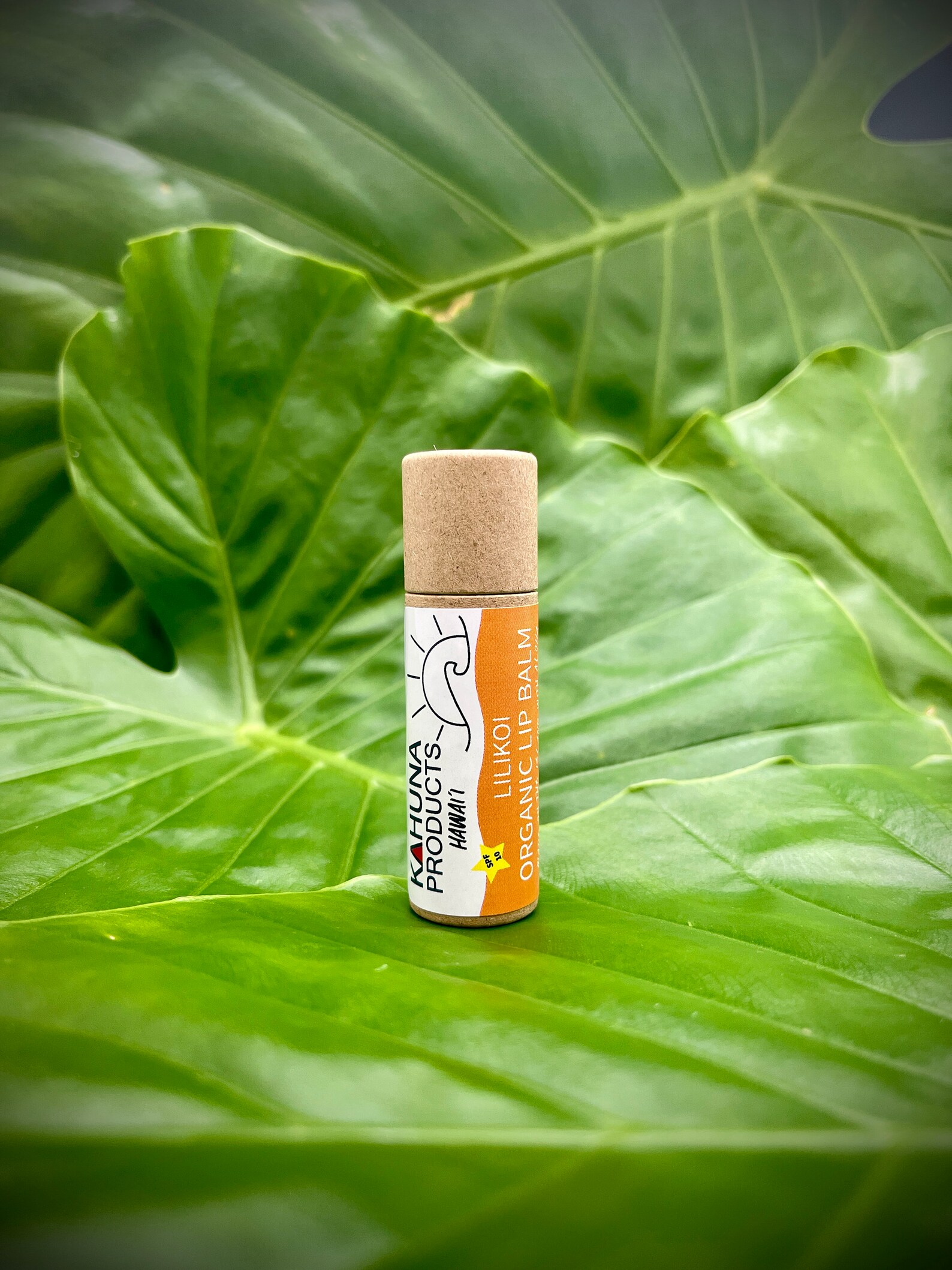 ORGANIC LIP BALM Hyaluronic Acid Zinc Oxide Lip Etsy