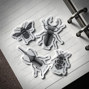 Insect Sticker, Bug Sticker, Sticker, Sticker Pack, Sticker Bundle, Beetle, Bee, Ladybug, Vinyl Sticker, Water Bottle Sticker, Stickers, Bug