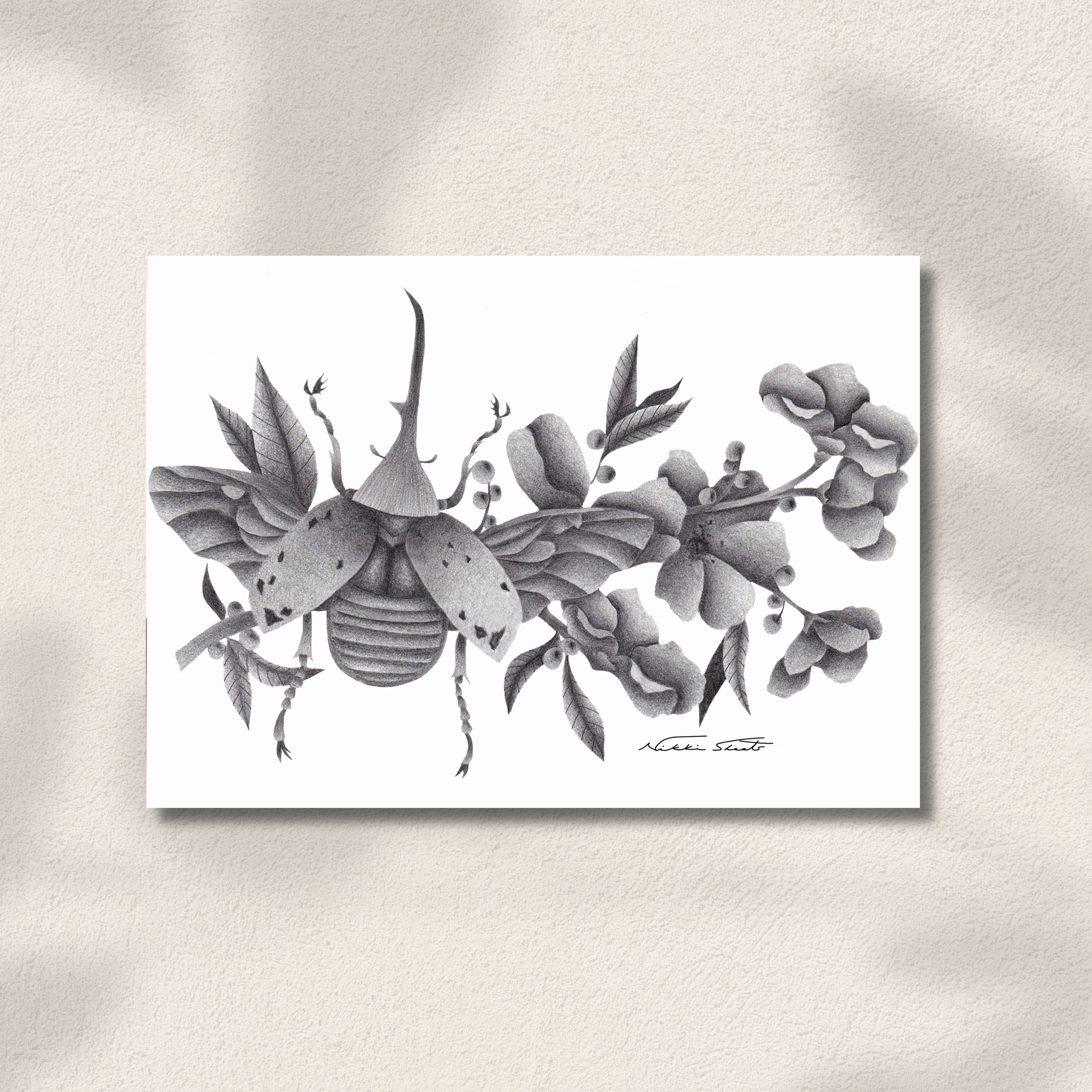 Graphite Insects Hercules Beetle, 5x7 Print, Art Print, Graphite Art, Beetle, Floral ...