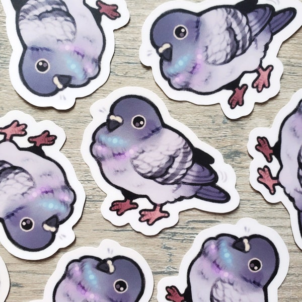 Fluffy Pigeon Sticker / Bird Water Bottle Sticker / Cute Bird Laptop Stickers / Pigeon Vinyl Stickers / Gift for Bird Lover