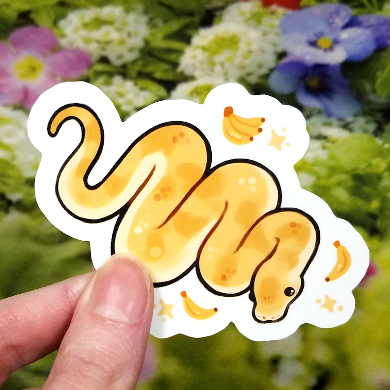 Fruit Salad Snake Sticker Set / Cute Ball Python Stickers | Etsy