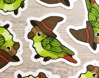 Wizard Bird Sticker / Green Cheek Conure Sticker / Parrot Stickers / Laptop Sticker / Vinyl Sticker