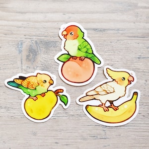 Fruit Salad Bird Sticker Set / Cockatiel Sticker / Bird Lover Water Bottle Sticker / Budgie Laptop Stickers / Parrot Vinyl Stickers image 5