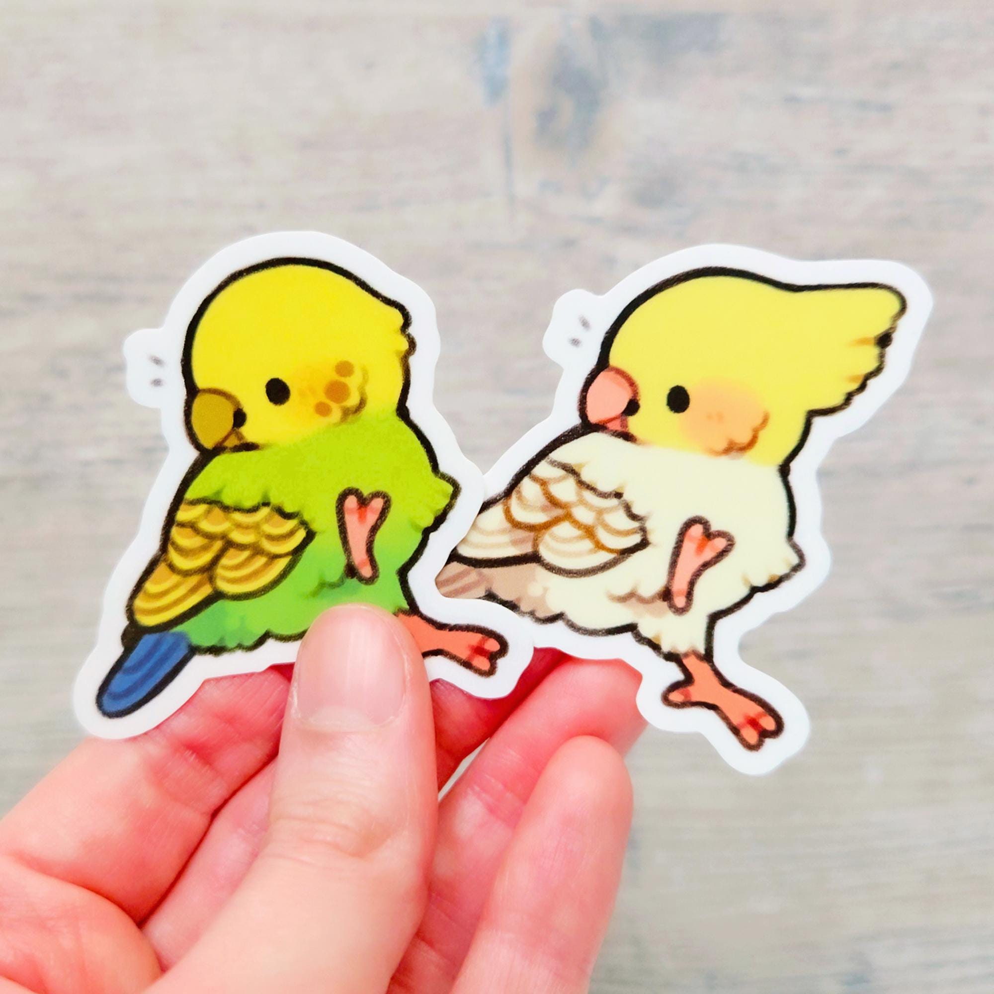 Dancing Birds Sticker Set / Cute Cockatiel, Budgie, Lovebird, Cockatoo ...