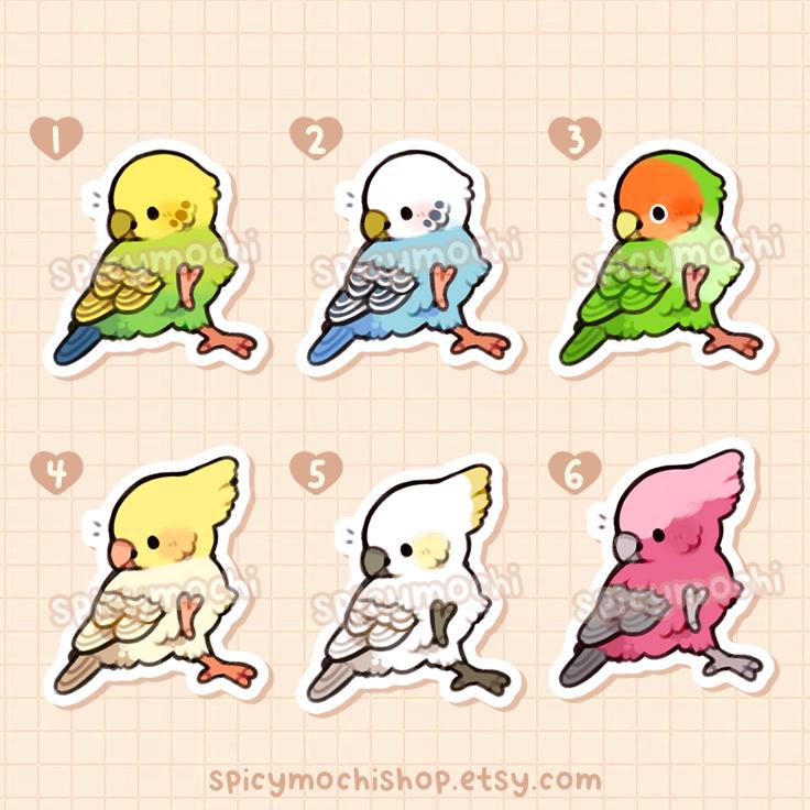 Dancing Birds Sticker Set / Cute Cockatiel, Budgie, Lovebird, Cockatoo ...