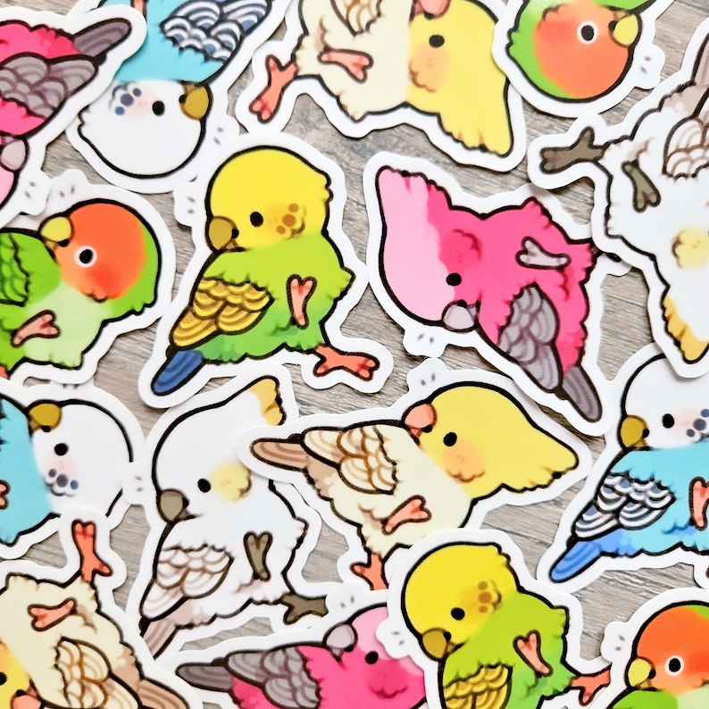 Dancing Birds Sticker Set / Cute Cockatiel, Budgie, Lovebird, Cockatoo ...