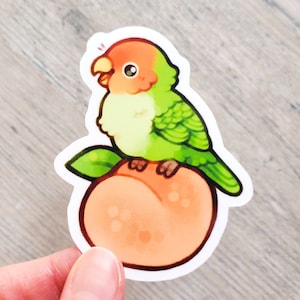 Fruit Salad Bird Sticker Set / Cockatiel Sticker / Bird Lover Water Bottle Sticker / Budgie Laptop Stickers / Parrot Vinyl Stickers Peach Lovebird