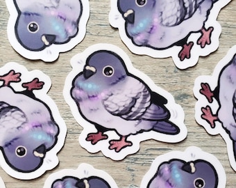 Fluffy Pigeon Sticker / Waterproof Vinyl Bird Laptop Decal