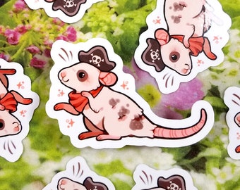 Pirat Sticker / Cute Pirate Rat Stickers / Rodent Sticker / Cute Animal Stickers / Laptop Stickers / Vinyl Stickers
