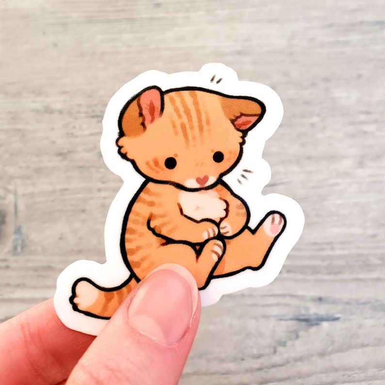 May include: A sticker of a cute orange tabby kitten sitting with its paws tucked in. The kitten has a white chest and a pink nose.