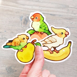 Fruit Salad Bird Sticker Set / Cockatiel Sticker / Bird Lover Water Bottle Sticker / Budgie Laptop Stickers / Parrot Vinyl Stickers Full Set of 3 Birds