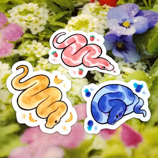 Fruit Salad Snakes Sticker Set / Cute Ball Python Stickers  / Cute Animal Stickers / Laptop Stickers / Vinyl Stickers