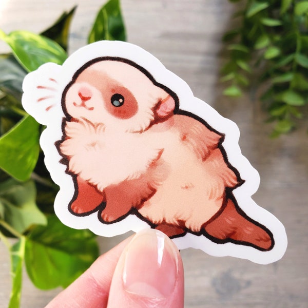 Fluffy Ferret Sticker / Cute Animal Sticker / Ferret Gift / Laptop Sticker / Vinyl Sticker