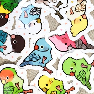 Dancing Birds Sticker Set Pack: Cockatiel, Budgie, Lovebird / Cute Bird Laptop Stickers / Water Bottle Vinyl Stickers / Gift for Bird Lovers