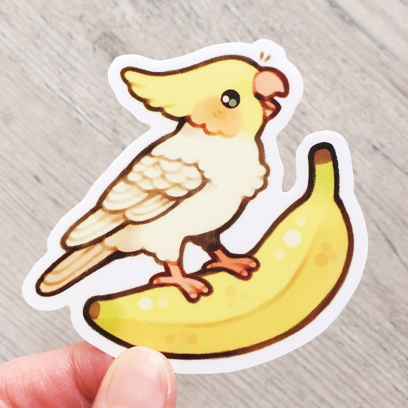 Fruit Salad Bird Sticker Set / Cockatiel Sticker / Bird Lover Water Bottle Sticker / Budgie Laptop Stickers / Parrot Vinyl Stickers Banana Cockatiel
