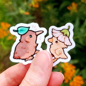 Mini Plant Pals Sticker Set of 2 / Kiwi Bird Sticker / Cute Duck Sticker / Laptop Stickers / Vinyl Stickers