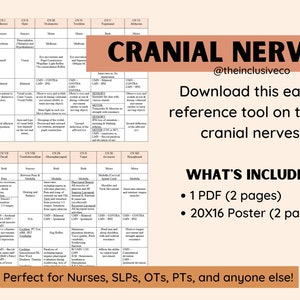May include: A pink and brown infographic poster with the title "Cranial Nerves" and the text "@theinclusiveco". The poster includes a table with information about the 12 cranial nerves, including their names, functions, and locations. The poster also includes the text "Download this easy reference tool on the 12 cranial nerves!" and "What's Included: 1 PDF (2 pages) 20X16 Poster (2 pages)". The poster is perfect for nurses, SLPs, OTS, PTs, and anyone else!"