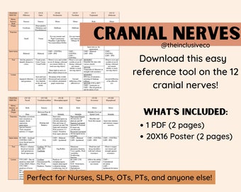 Cranial Nerves Reference Sheet/Table/Study Guide - Perfect for SLPs, PTs, OTs, Nurses, and so many more!