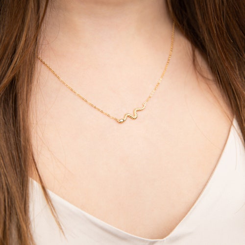 Snake Charm Necklace Snake Pendant Lucky Charm Necklace Etsy