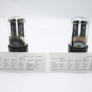 May include: Two vintage vacuum tubes with clear glass enclosures and black bases. Each tube has internal components visible through the glass. Two white labels with text and data are positioned below the tubes.